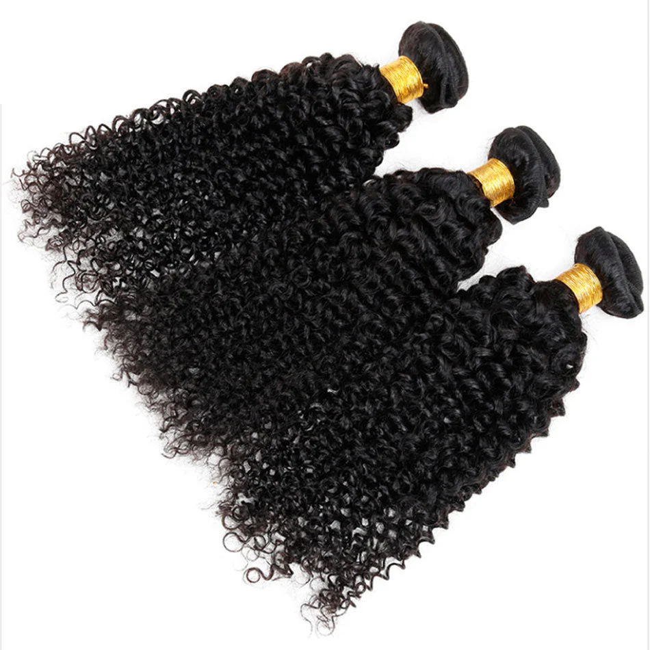 Curly 3 Bundles With 4*4 Lace Closure 10A Grade 100% Remi Human Hair - Amanda Hair - Image 2
